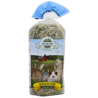 Oxbow Alfalfa Hay for Rabbits, Guinea and Gerbils (15 oz)