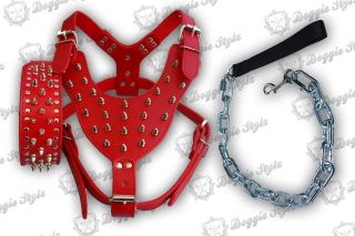 Leather Dog Harness in Harnesses