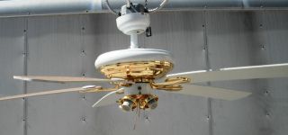 used ceiling fans in Ceiling Fans