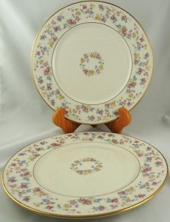 Lamberton Ivory China ~ REVERIE ~ Dinner Plates   Set of 2