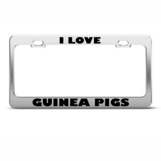 LOVE GUINEA PIGS PIG ANIMAL LICENSE PLATE FRAME