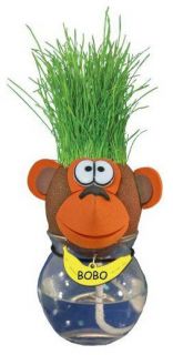 Grow a Pet MONKEY Bobo   Coconut Fiber with Rye Grass   Style Hair 