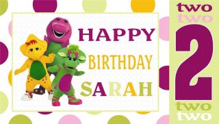 Barney and Friends  Personalized  Custom Vinyl Birthday Party Banner 