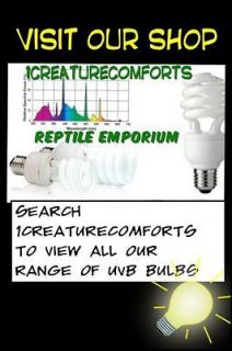   uva reptile b22 fitting bulb/light & 60w Basking Lamp  reptile lights
