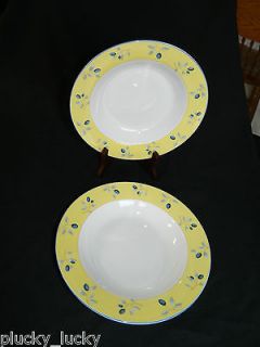 Two Royal Doulton China Soup Bowls with Blueberries Pattern Yellow Rim