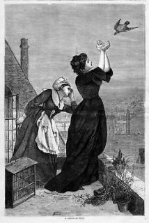 CARRIER PIGEON RELEASED, 1870 ENGRAVING, PIGEON CAGE
