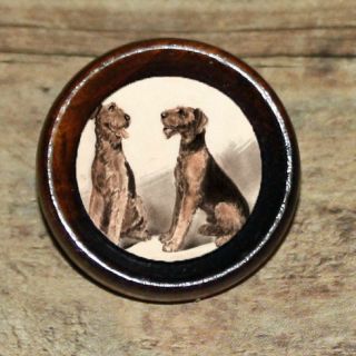 SCHNAUZER dog Altered Art Tie Tack or Ring or Brooch pin