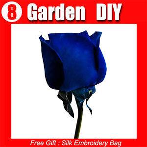 Pack 100+ Flowers Seeds Blue Fairy Rose Seed China Lover Popular 