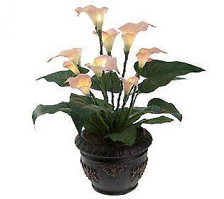   Lights Battery Operated Potted Calla Lily with Timer MANY COLORS