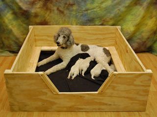 Whelping Box 5x4 XLARGE w/ RAILS Dog,Puppy,Pen,​Free S&H