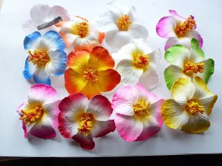 10 assorted Foam Hawaiian flowers Hibiscus Flowers wedding bridal 