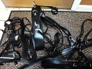 horse driving harness in Driving, Horsedrawn