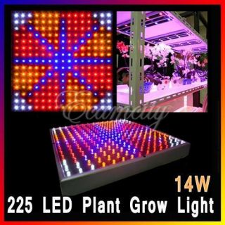indoor plant grow lights in Grow Lights