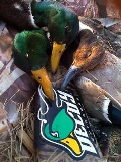   Mallard Sticker Decal Gun Shock, Duck Hunting Mojo Call Unlimted