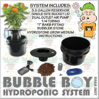 dwc hydroponics in Hydroponics