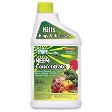 NEEM OIL Organic Insecticide Miticide Fungicide 16oz