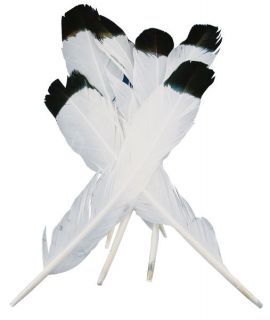 Simulated Eagle Feathers 4/Pkg White With Black Tip