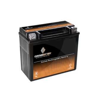 YTX20 BS Snowmobile Battery for ARCTIC CAT Pantera All CC 94