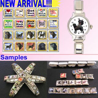   Retriever Stainless Steel 9mm Italian Charms Bracelet Watch KK225