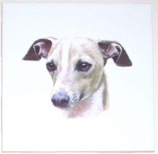Italian Greyhound Dog Ceramic Tile Accent Mural 4.25 *