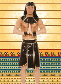 King of the Nile Adult Egyptian Pharaoh Costume