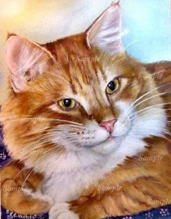 Orange MAINE COON TABBY CAT GICLEE Longhaired Kitten Kris Kasheta 