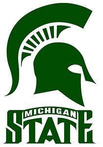 Michigan State Spartans Corn Hole (Bag Toss)Vinyl Decals 18 Set of 2