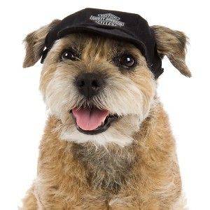 Harley Davidson Black Cotton Baseball Dog Cap Hat XS