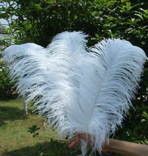 wholesale ostrich feathers in Feathers