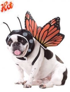 Pet Dog Funny ANIMAL PLANET Butterfly Insect Costume