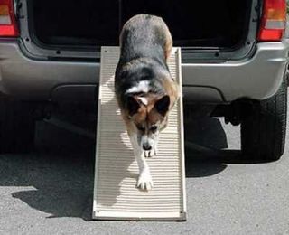 dog steps in Ramps & Stairs