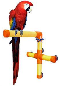 parrot shower perch in Perches