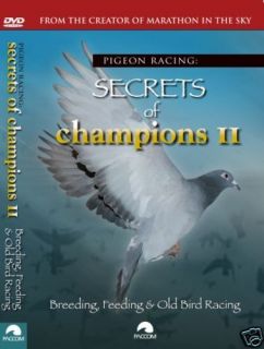 racing pigeon dvd in DVDs & Blu ray Discs