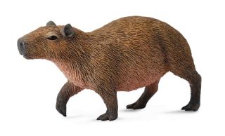 CollectA #88540 Capybara, Toy Collectible Capybara