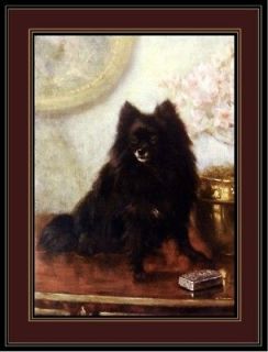 English Print Black Pomeranian Pup Dog Art Picture