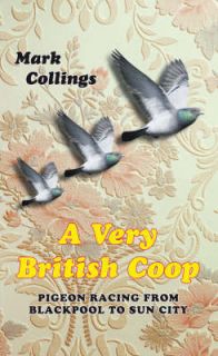 Very British Coop Pigeon Racing From Blackpool to S