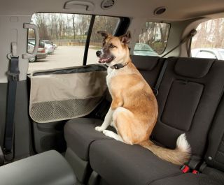   Universal Dog Pet Automobile Car Door Guard Protector Black KUR1158