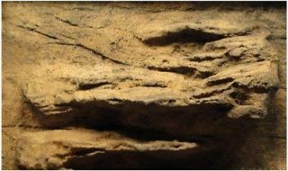   Rocks 24 Inch by 12 Inch Ledge Aquarium/Reptile Rigid Foam Background