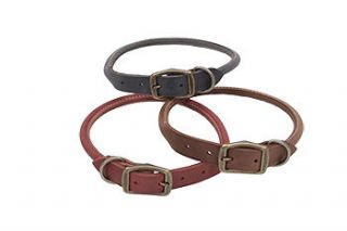 rolled leather dog collars in Leather Collars