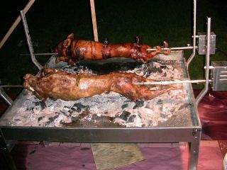 Double BBQ pig,lamb,spit roast , pig roaster