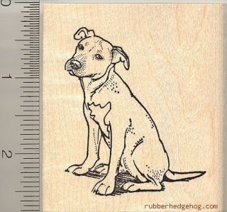 American Pit Bull Terrier Dog Rubber Stamp H10316 WM