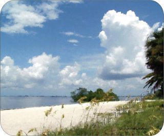 MOUSE PAD PONCE DE LEON PARK, FL. TROPICAL BEACH SCENE, PALM TREES 