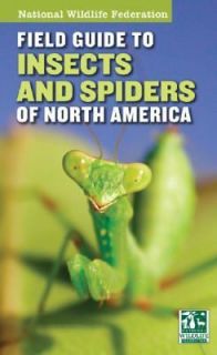   Spiders and Related Species of North America by Arthur V. Evans 2007