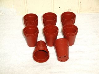 terracotta pots in Home & Garden