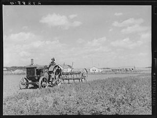 Farmer with tractor,cultiv​ator. Fairfield Bench Farms,Montana