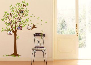  Frame Tree Birds Wall Stickers Decals Decor Art Mutural Removable
