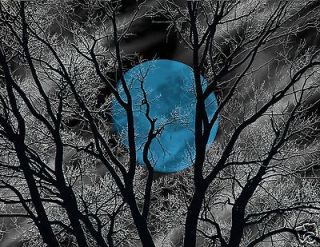 Black & White Tree Blue Moon Home Wall Art Matted Picture