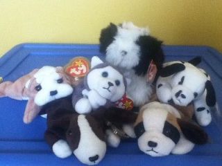 ty beanie babies dotty in Ty