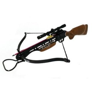 crossbow in Crossbows