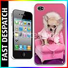   Chihuahua Dog On Chair Hard Case Back Cover For Apple iPhone 4 & 4S